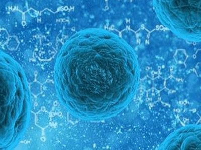 爱丁堡科学家们有望利用肿瘤免疫细胞开发出新型癌症疗法