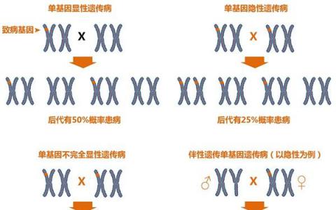 单基因遗传病基因检测报告将是一个百亿级市场