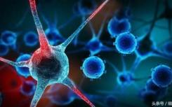 栾佐教授：干细胞技术在遗传代谢病治疗中的应用与挑战