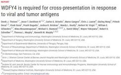 Science谜题终破解 蛋白WDFY4在交叉呈递中起着关键作用