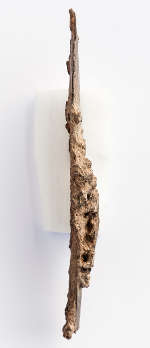 9万多年前 阿特族文化就使用了独特的骨骼工具