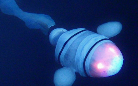 机器鱼展示了海洋中最深的脊椎动物是如何承受压力的