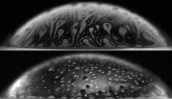 泡沫:当然 他们看起来无辜的 但是他们可以Bacteria-Spreading威胁