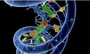 尿液中DNA能揭示疾病