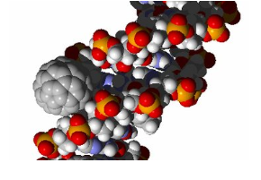 科学家们担心纳米技术在食品的潜在风险