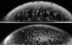 泡沫:当然 他们看起来无辜的 但是他们可以Bacteria-Spreading威胁