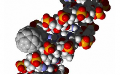 科学家们担心纳米技术在食品的潜在风险