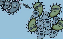 避开抗生素耐药性的抑制细菌的进化