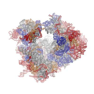 抗生素探险者:探索发现复杂的四环素在人类细胞中