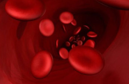 科学家研究表明血液帮助我们思考