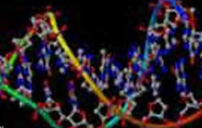 科学家说，遗传祖先测试主要是炒作