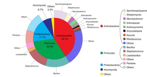 Imec的elPrep软件大大加速了基因组测序分析