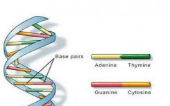 科学家收集所有已知物种的“DNA条形码”