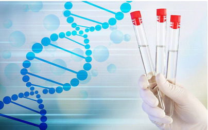 DNA分子显示类似心灵感应的质量