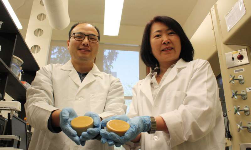 研究人员开发新的工业用蜡制成的大豆油