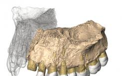 颌骨发现挑战了非洲以外的模式