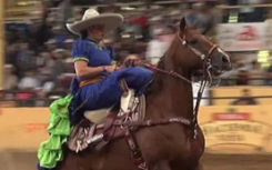 在这项墨西哥运动中 马匹滑行超过6米