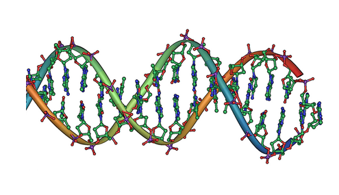 研究人员研究DNA聚合酶在分子水平上