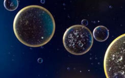科学家提出一个新的专业化模型细胞