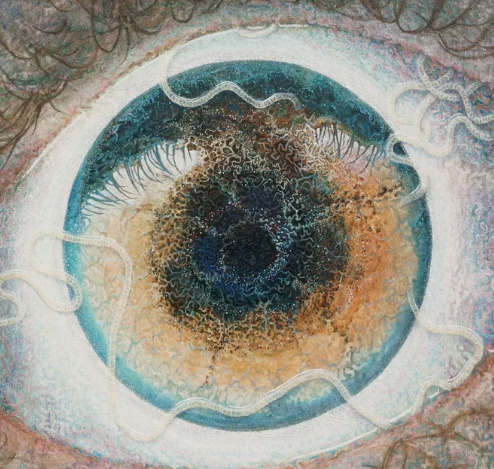 一位艺术家在他的眼中发现了寄生虫 他说“引导”他的作品