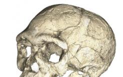 最早的已知人类化石在摩洛哥发现