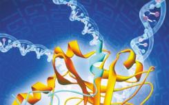 一种探测流体中DNA分子模式的方法