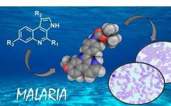 一个新的高效的选择性分子对抗疟疾