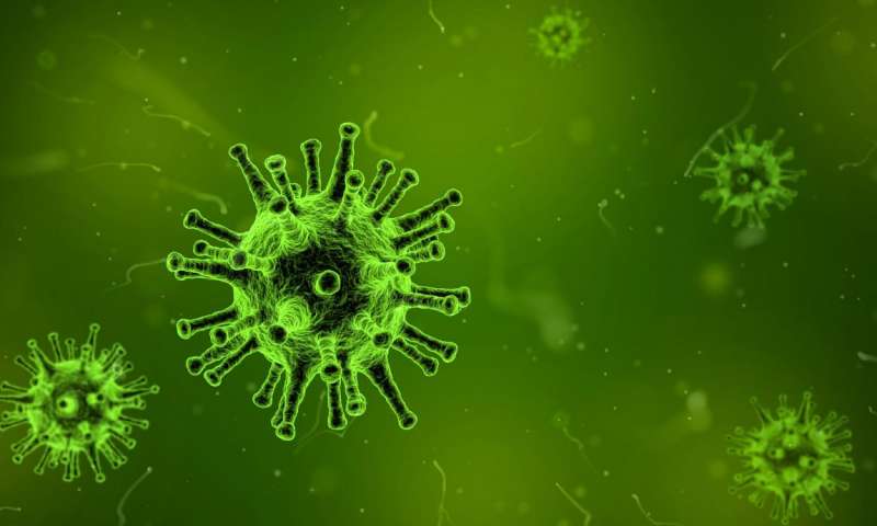合作克服免疫防御系统的细菌病毒