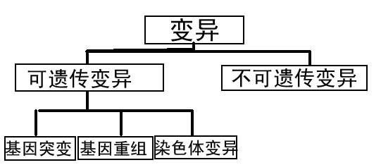 基因突变可使结直肠癌患者对化疗具有抗性