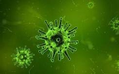 科学家们识别关键的汉坦病毒受体