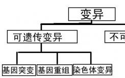 基因突变可使结直肠癌患者对化疗具有抗性