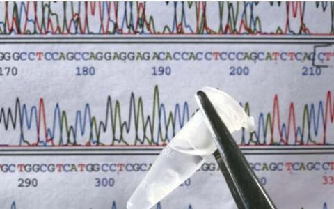 我们与CRISPR治疗癌症有多接近？