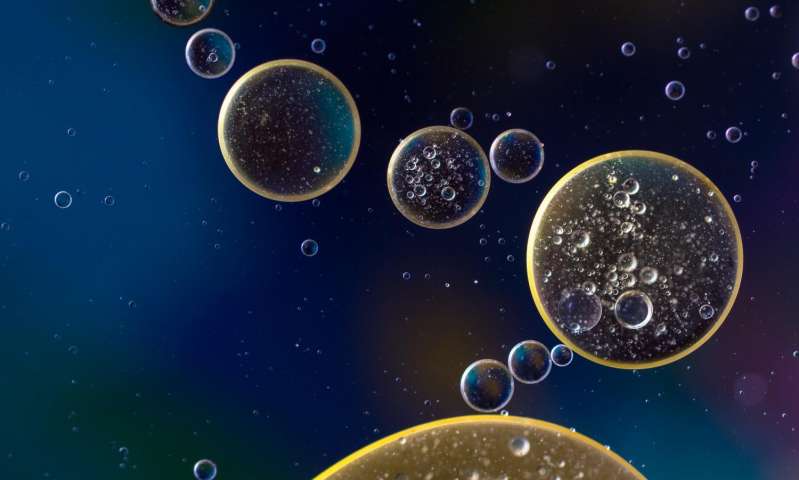 研究证实细胞节约能源的新途径