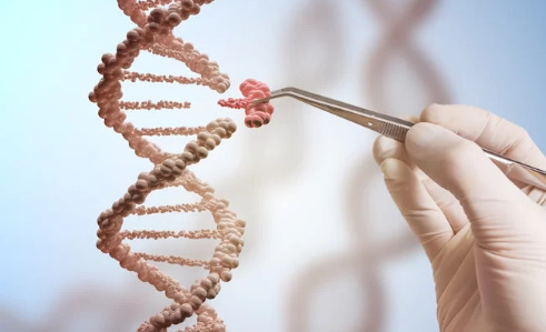 CRISPR基因编辑可能比科学家认为的更严重