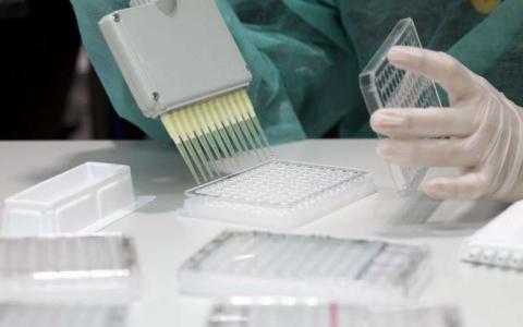 一个有前途的新工具来衡量抗体疟疾