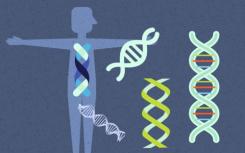 遗传重编程可以使对化学疗法有抗性的癌细胞敏感