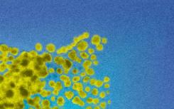 新型纳米载体可以为健康细胞提供更高效 更低毒性的传递