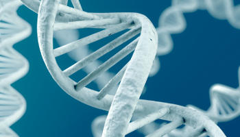 DNA的直接图像显示其测量结果