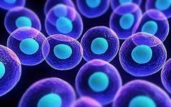 干细胞研究 约旦大学细胞治疗中心有望在传统医学失败的地方取得成功