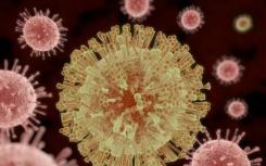 科学家为研究寨卡病毒开发改进的模型