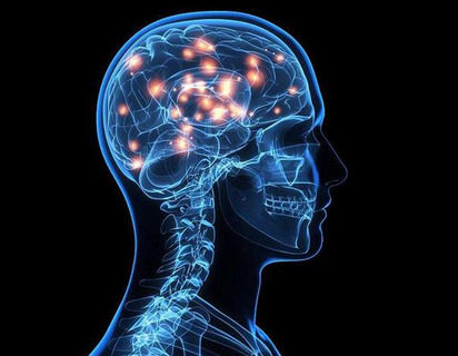 揭示了大脑在声音 气味和记忆之间的联系