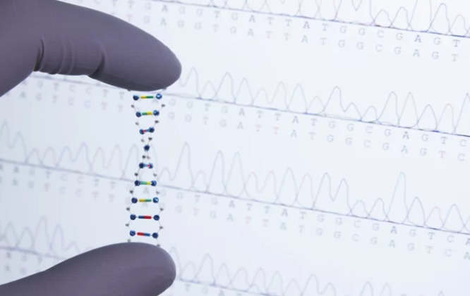 DNA祖先测试如何真正起作用？