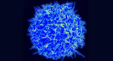 癌症免疫疗法获得2018年诺贝尔医学奖
