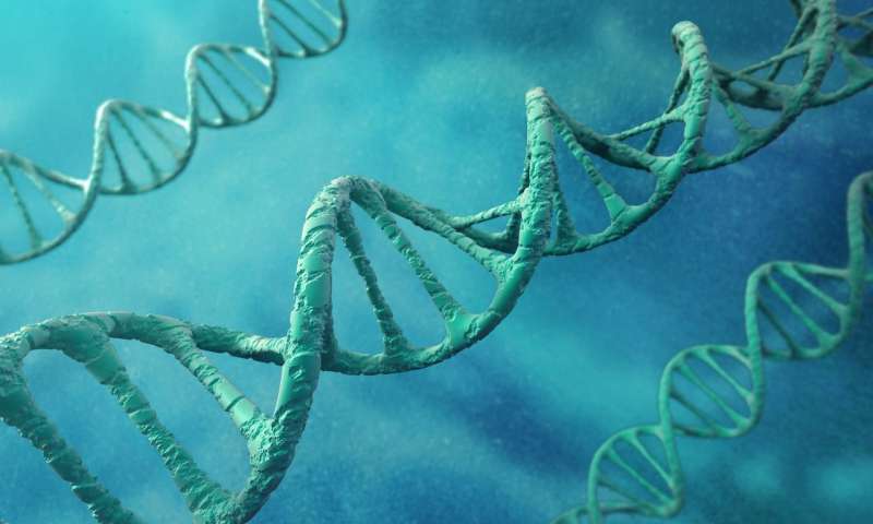 研究人员在人造细胞模型建立DNA复制