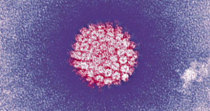 有证据表明HPV筛查在预防癌症方面胜过巴氏试验