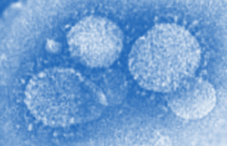MERS病毒感染宿主细胞的不寻常的分子机制