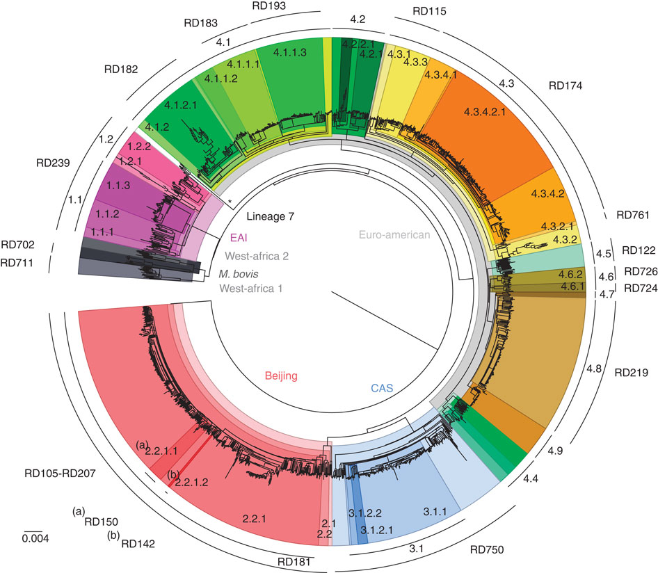 健壮的SNP条形码可对结核病复杂菌株进行基因分型
