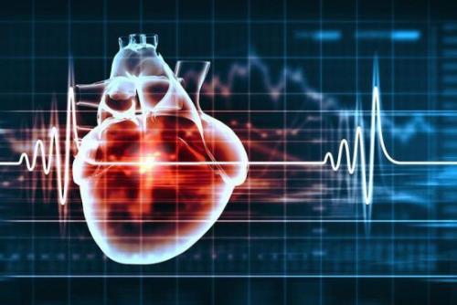 许多与心脏电节律个体差异相关的遗传变异