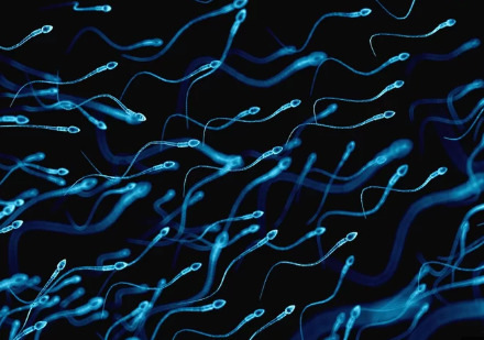 男性避孕药阻断了精子激素 但它会起作用吗？