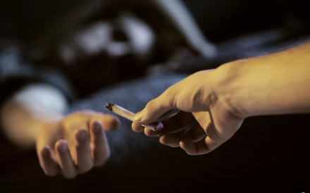 医疗大麻合法化不会让青少年吸烟更多